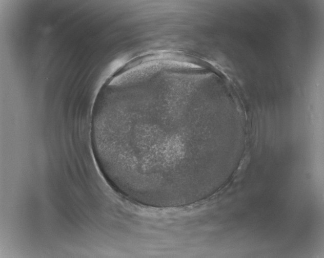 X0000061140003200512022300