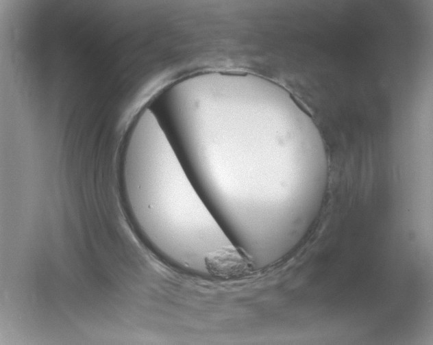 X0000061140005200512022300