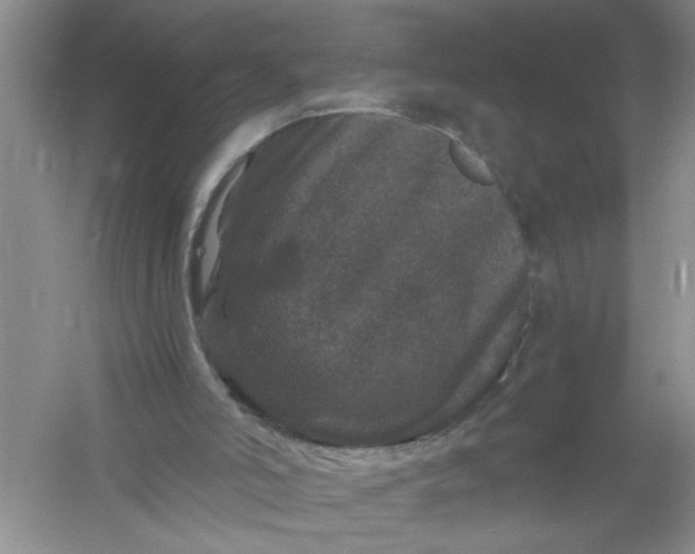 X0000061140006200512022300