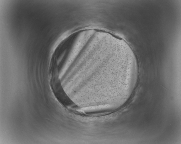 X0000061140007200512022300