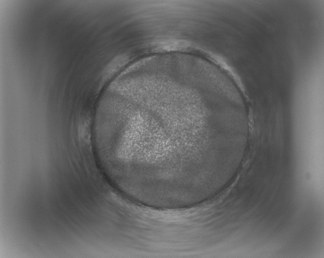 X0000061140010200512022300