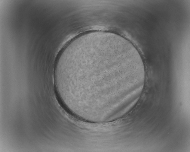 X0000061140011200512022300