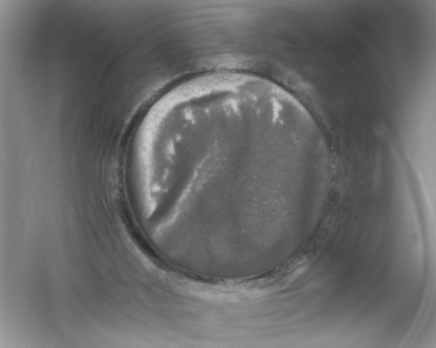 X0000061140012200512022300