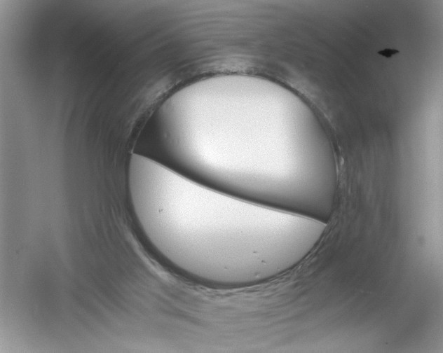 X0000061140013200512022300