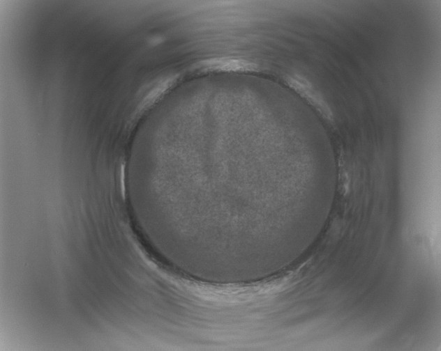 X0000061140014200512022300