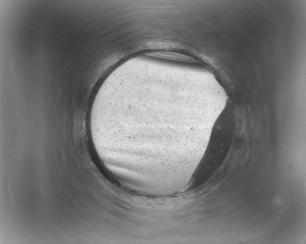 X0000061140015200512022300