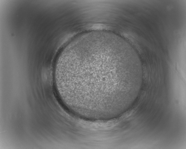 X0000061140016200512022300