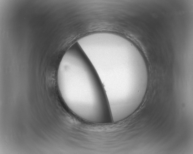 X0000061140017200512022300