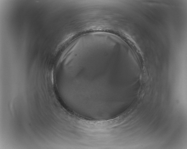 X0000061140019200512022300