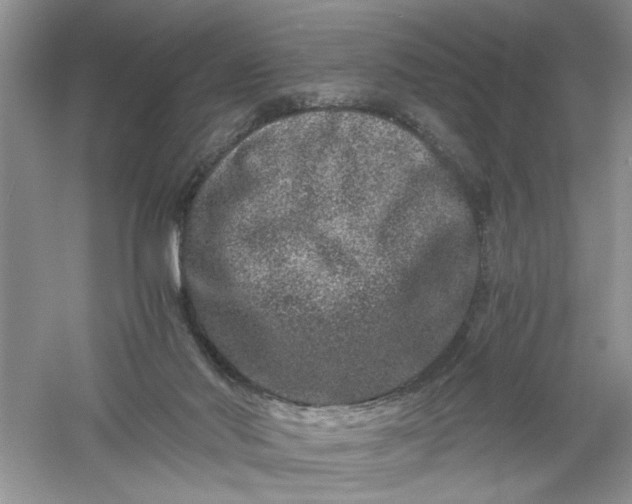 X0000061140022200512022259