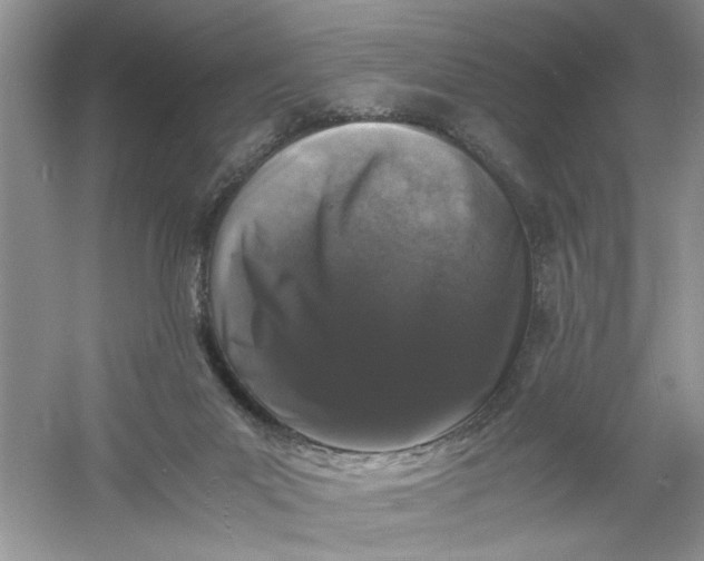 X0000061140023200512022259