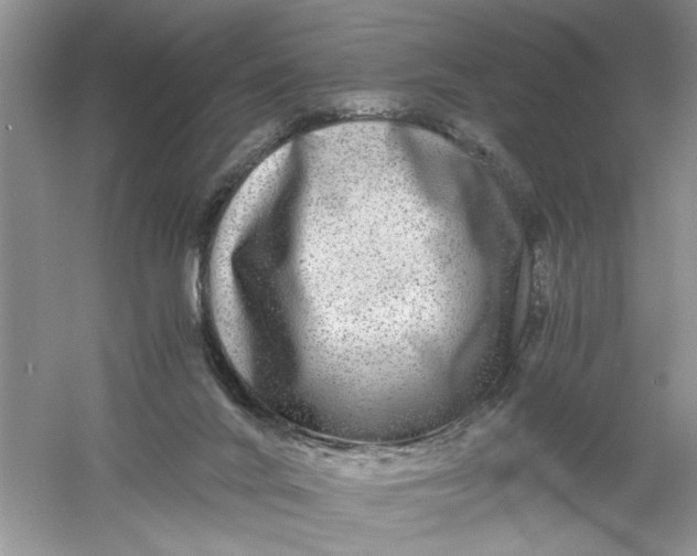 X0000061140024200512022259