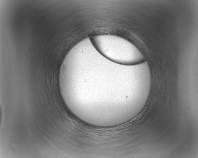 X0000061140025200512022259