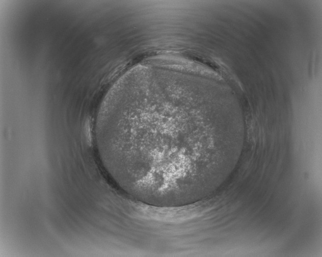 X0000061140026200512022259