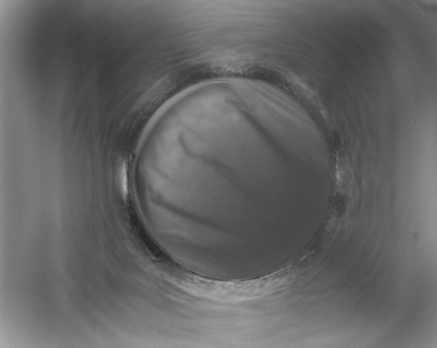 X0000061140027200512022259