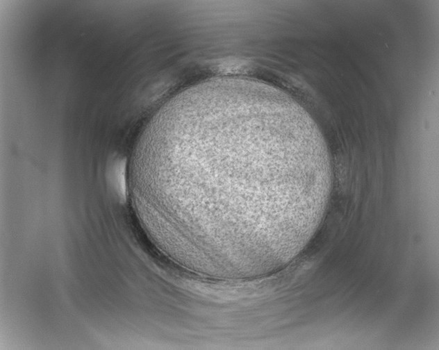 X0000061140028200512022259