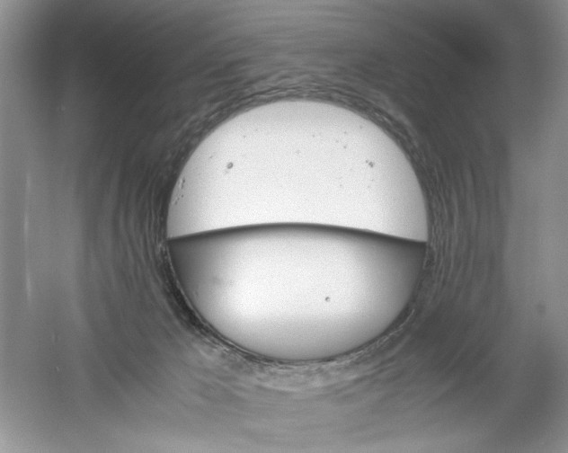 X0000061140029200512022259