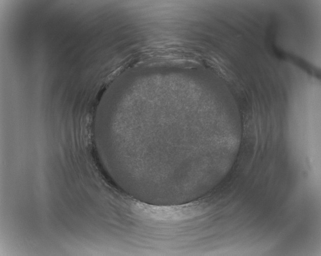 X0000061140030200512022259