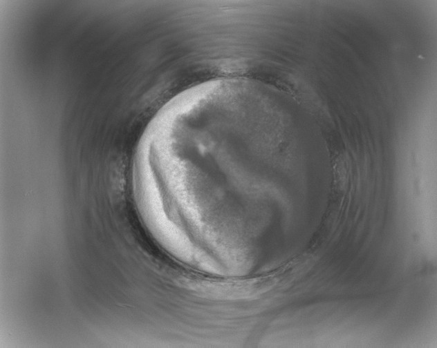 X0000061140032200512022259