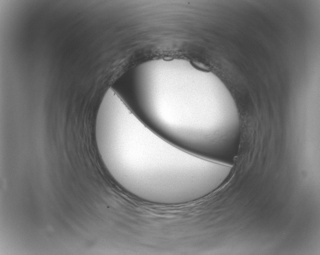 X0000061140033200512022259