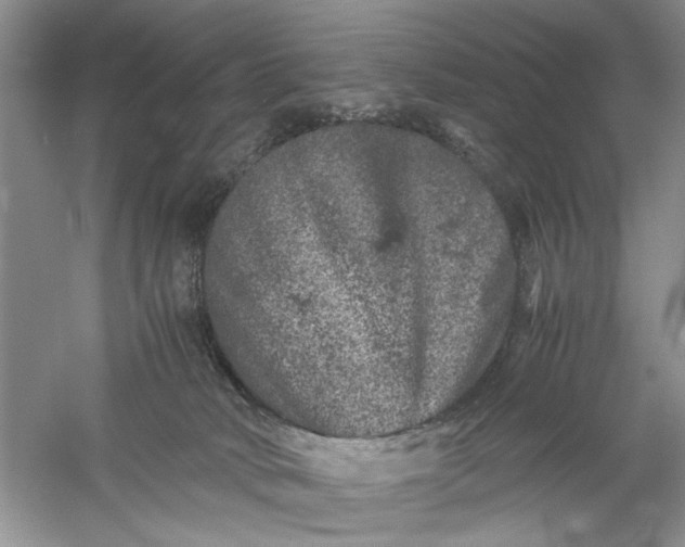 X0000061140034200512022259