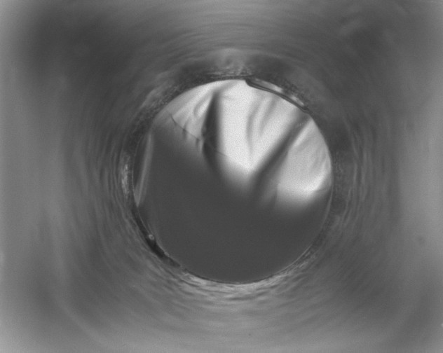 X0000061140035200512022259