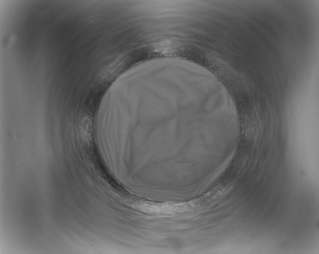 X0000061140036200512022259