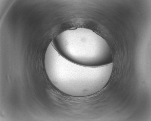 X0000061140037200512022259