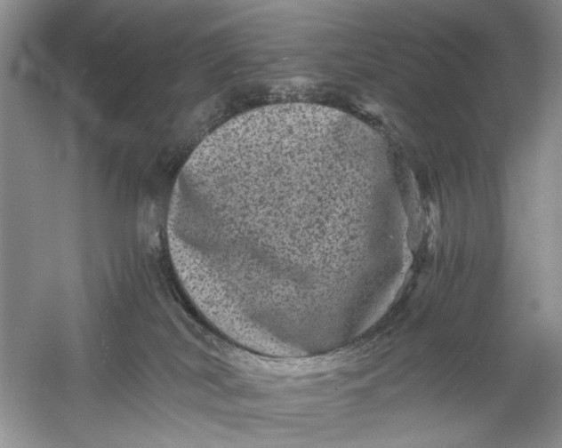 X0000061140038200512022259