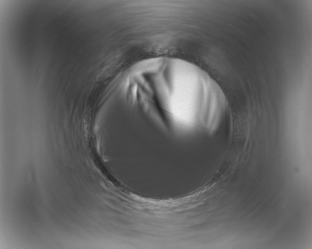 X0000061140039200512022259