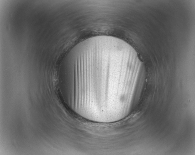 X0000061140040200512022259