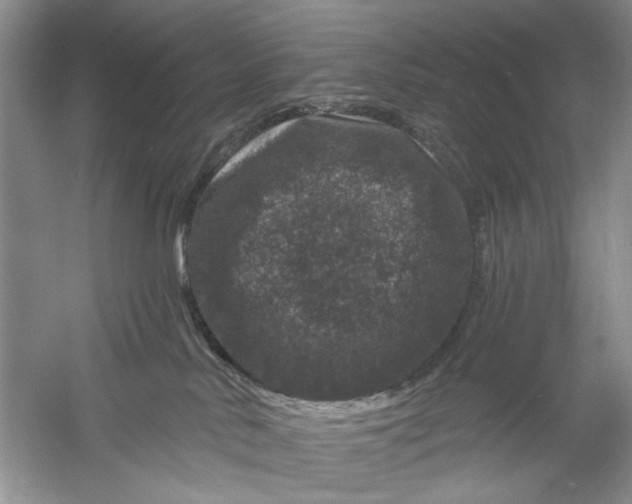 X0000061140042200512022259