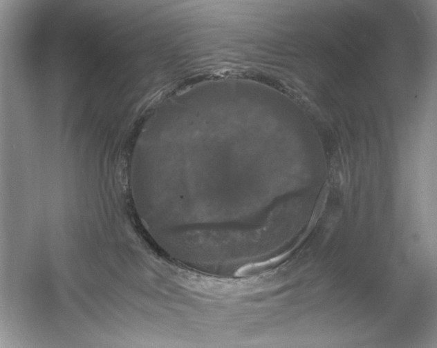 X0000061140043200512022259