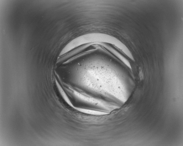 X0000061140044200512022259