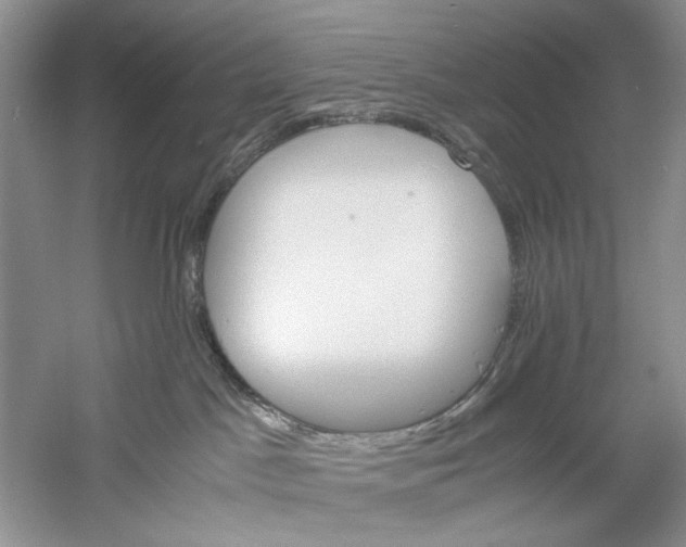 X0000061140045200512022259