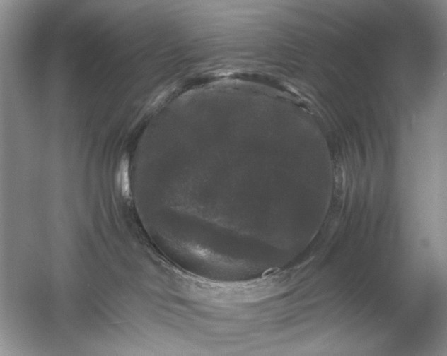 X0000061140046200512022259