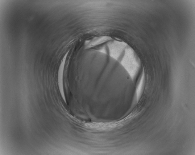 X0000061140048200512022259