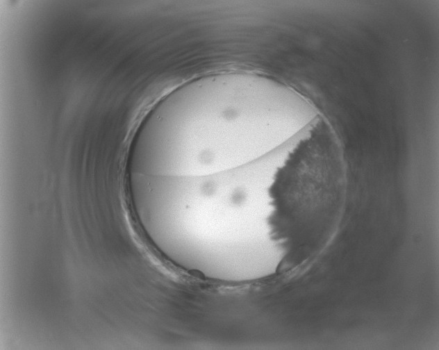 X0000061140049200512022258