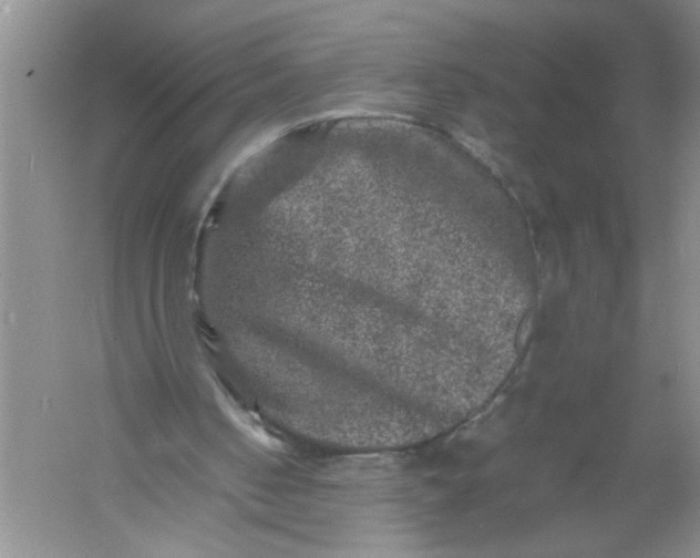 X0000061140050200512022258