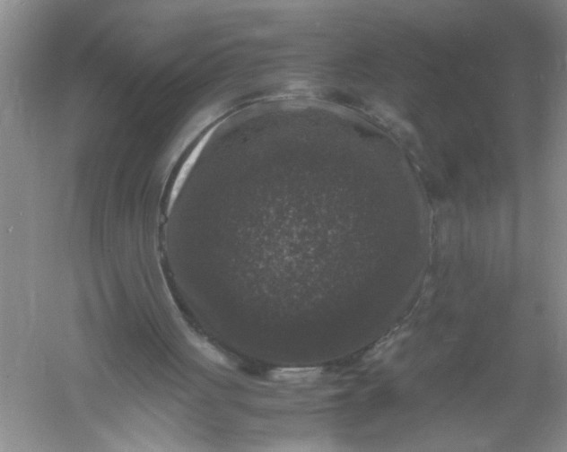 X0000061140051200512022258