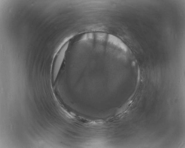 X0000061140052200512022258