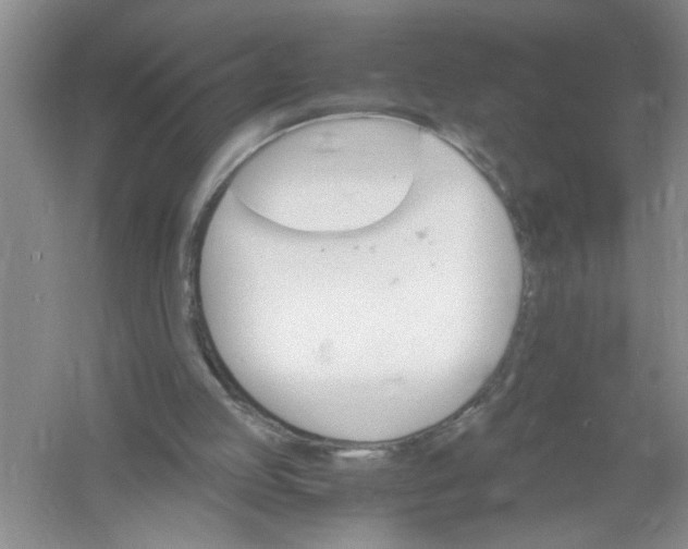 X0000061140053200512022258