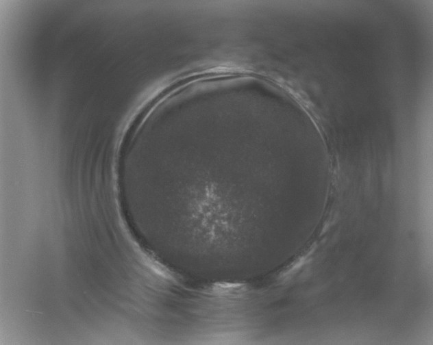 X0000061140055200512022258