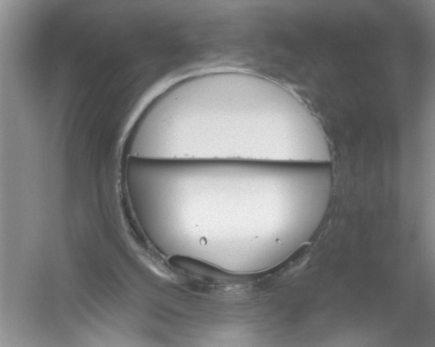 X0000061140056200512022258