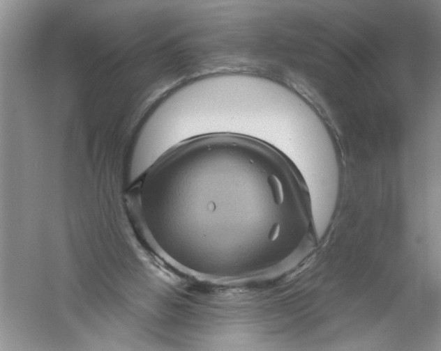 X0000061140058200512022258