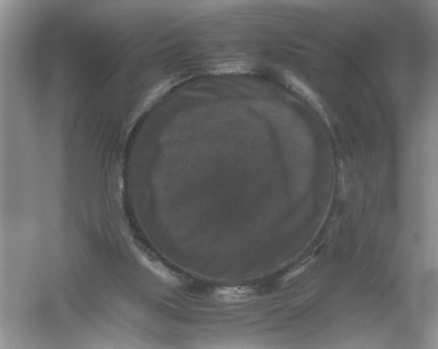 X0000061140059200512022258