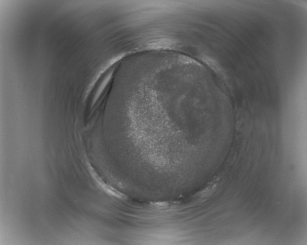 X0000061140060200512022258