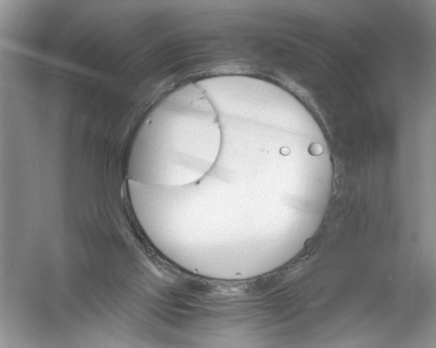 X0000061140061200512022258