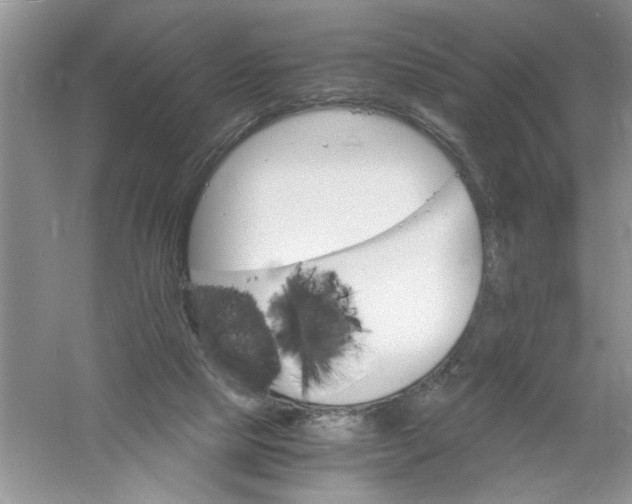 X0000061140065200512022258