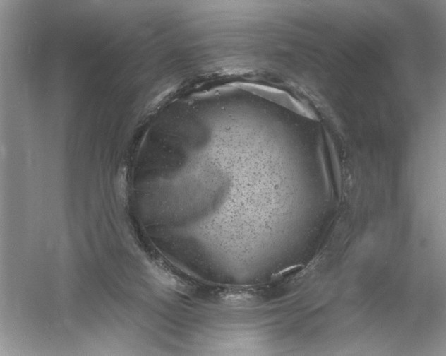 X0000061140066200512022258